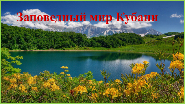 Заповедный мир Кубани